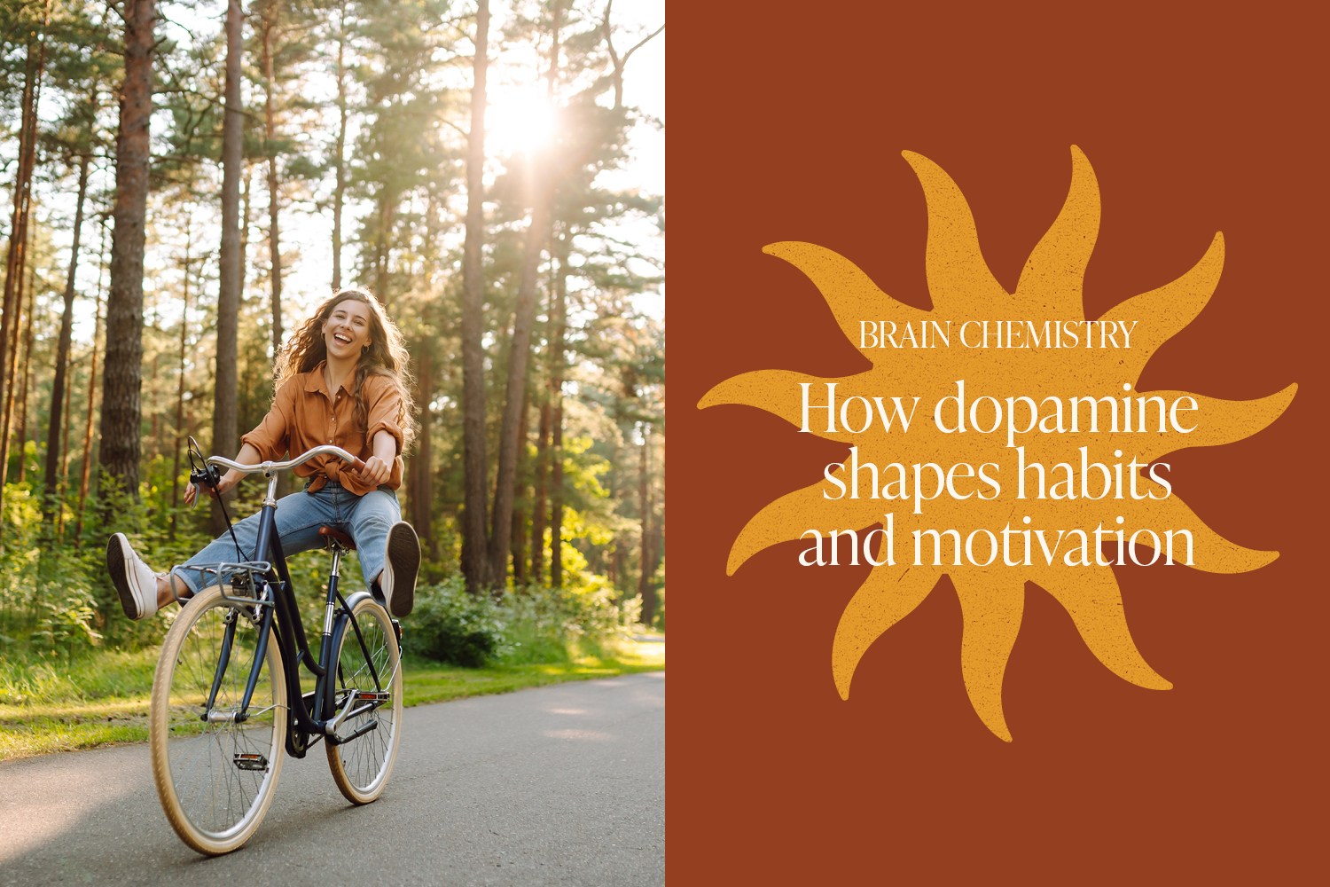 Understanding Your Brain’s Reward System: How Dopamine Shapes Habits and Motivation