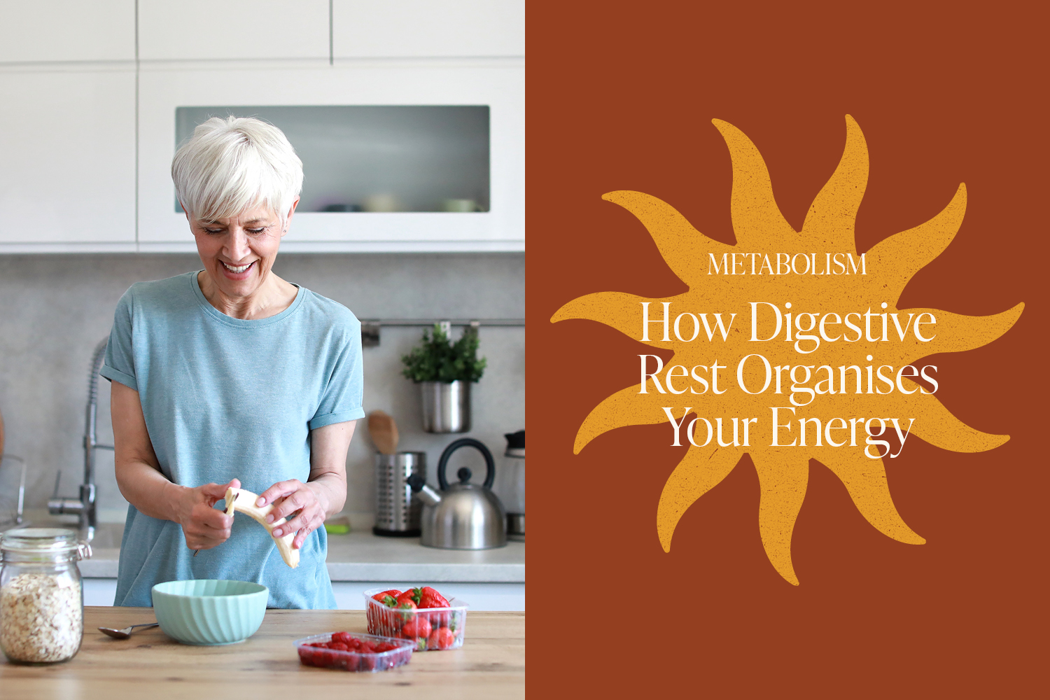 Digestive Rest and Metabolic Switching: How We Organise Energy