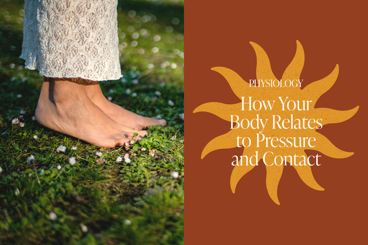 Our Body’s Relationship With Pressure and Contact