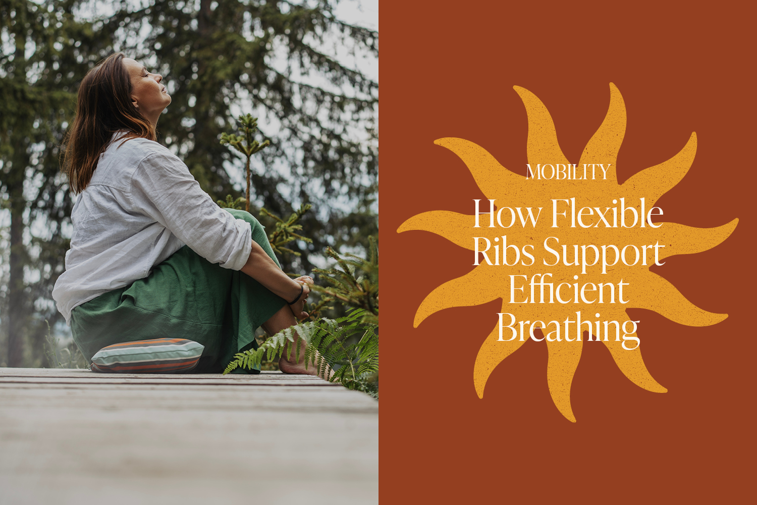 Rib Mobility Matters: How Flexible Ribs Support Efficient Breathing