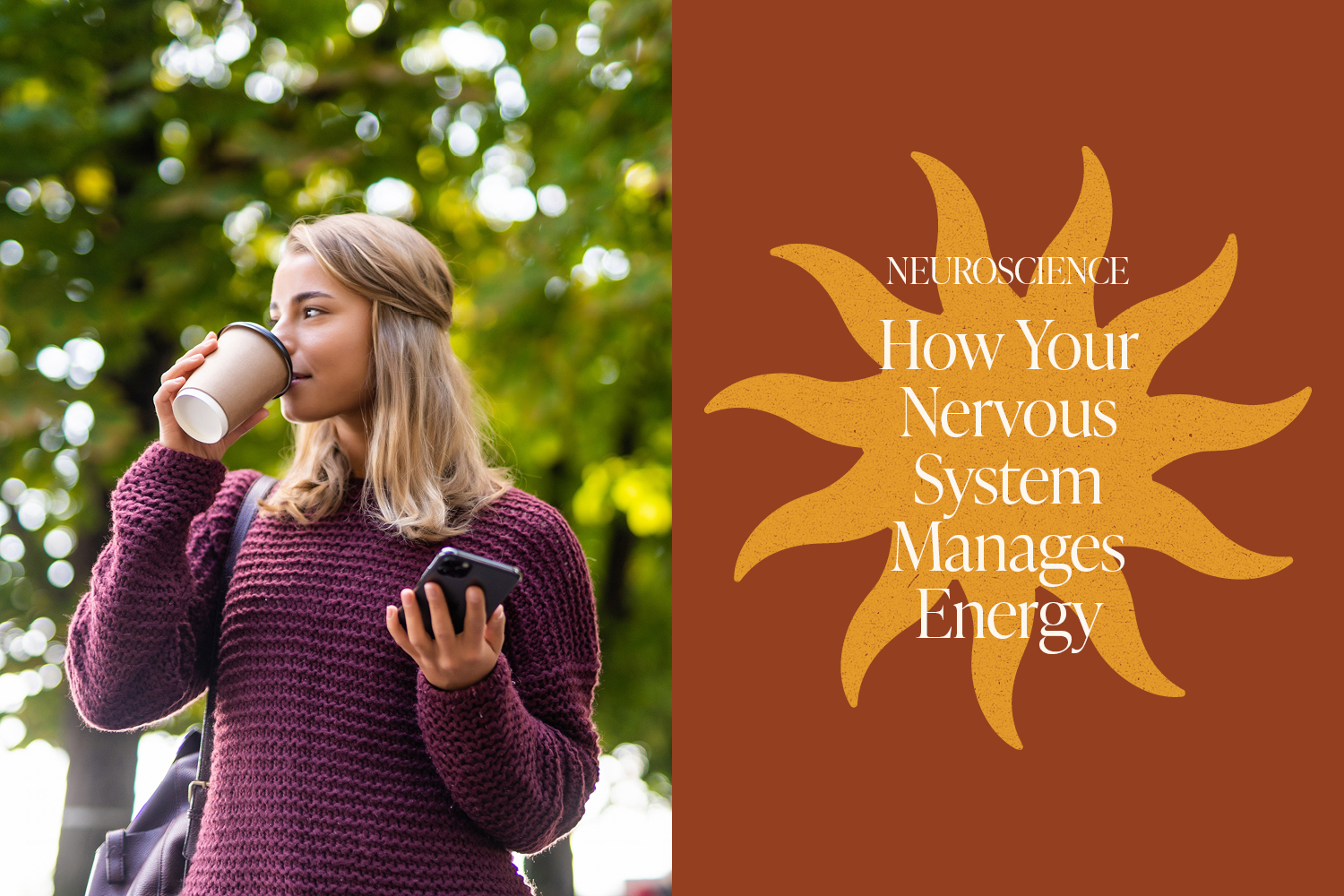 The Brain’s Body Budget: How Your Nervous System Manages Energy
