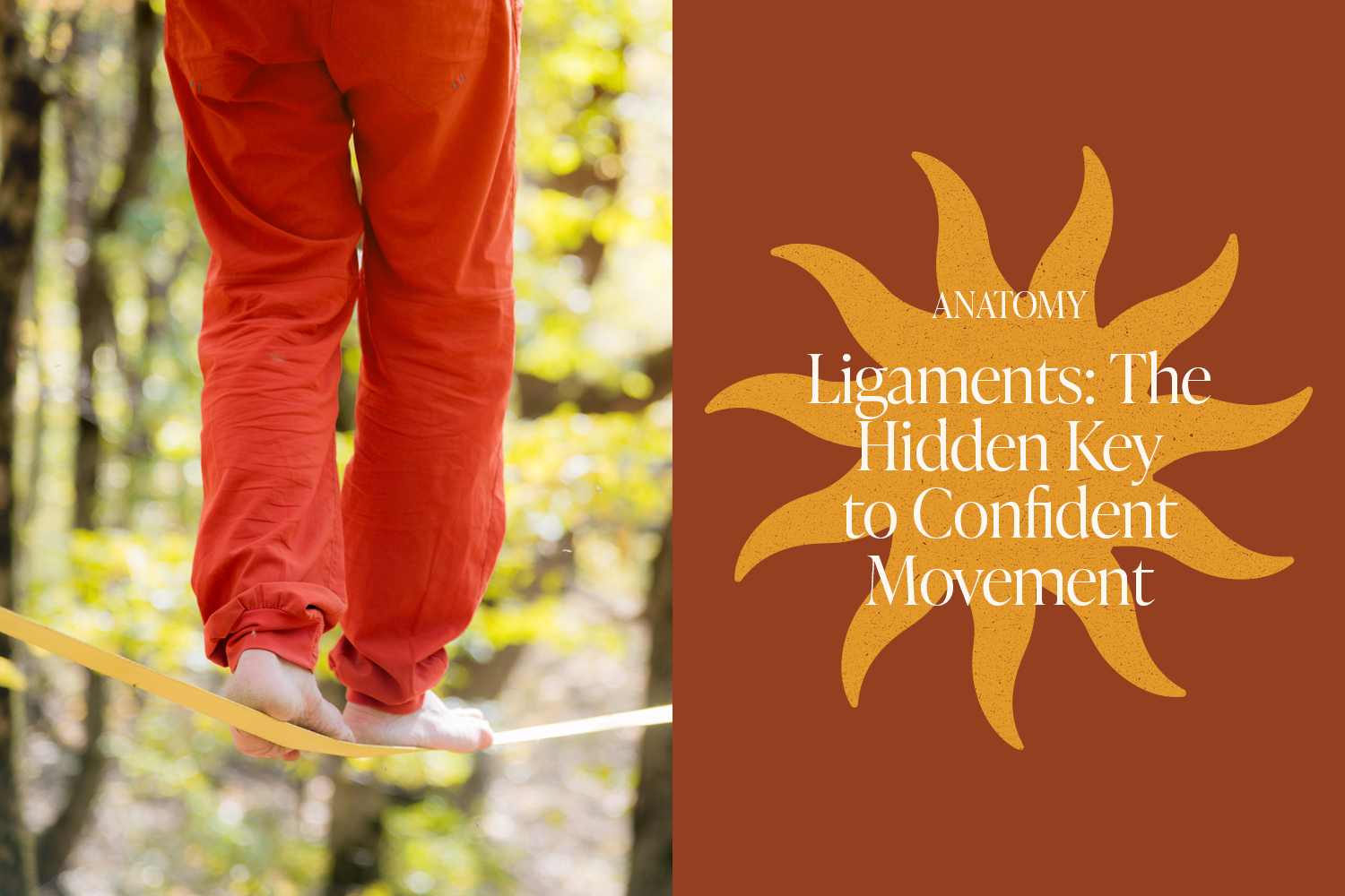 The Quiet Work of Ligaments: The Hidden Tissues That Help You Move With Confidence