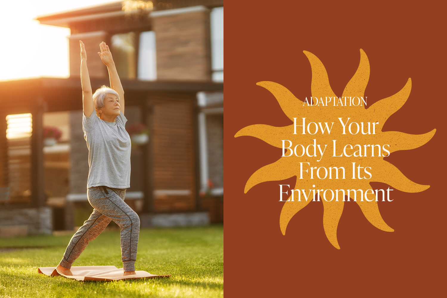 The Science of Adaptation: How Your Body Learns From Its Environment
