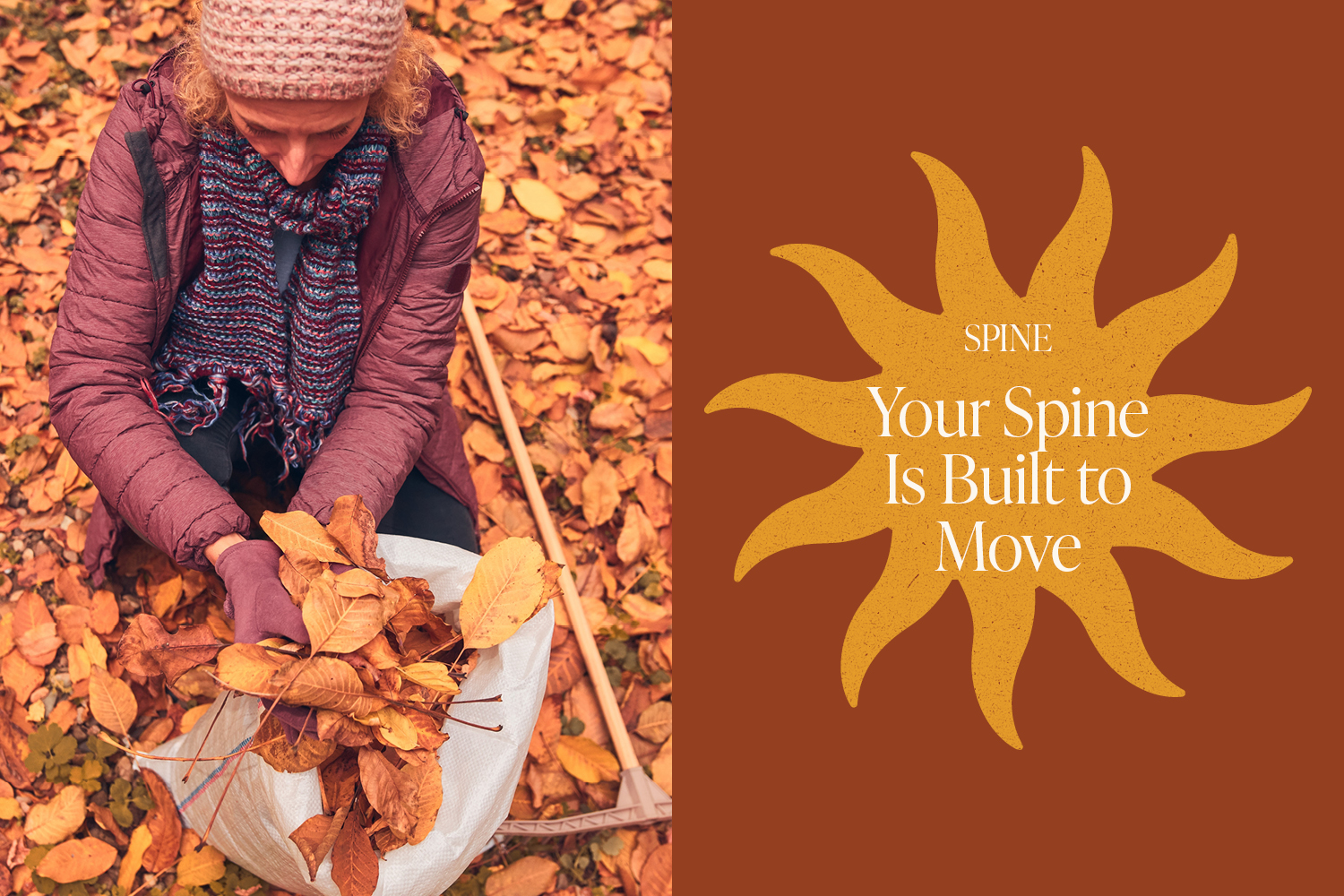 How Your Spine Is Built to Move 